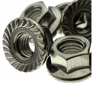 Flange Nuts Stainless Steel